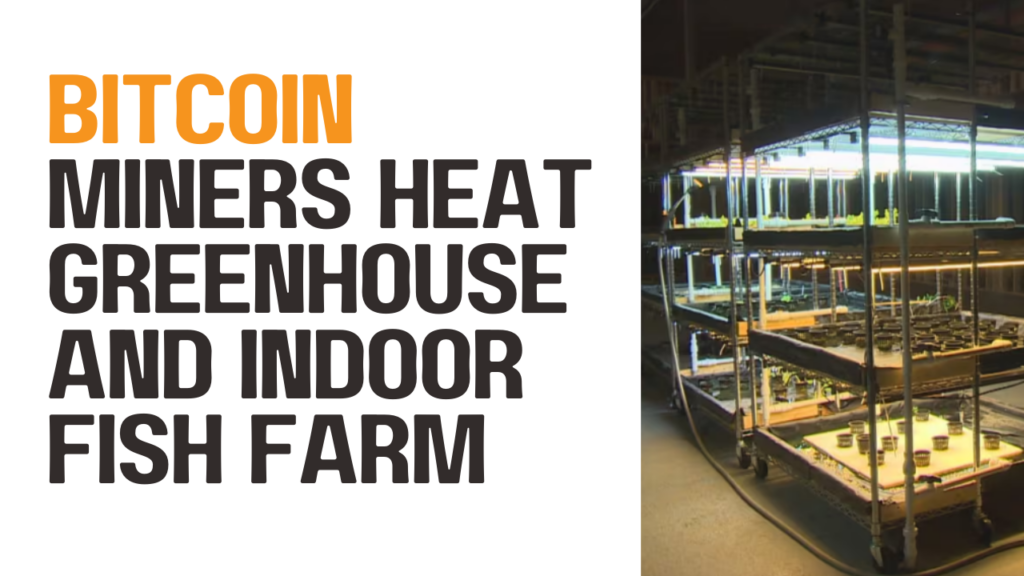 Using waste heat from bitcoin miners to heat Greenhouse and fish farm